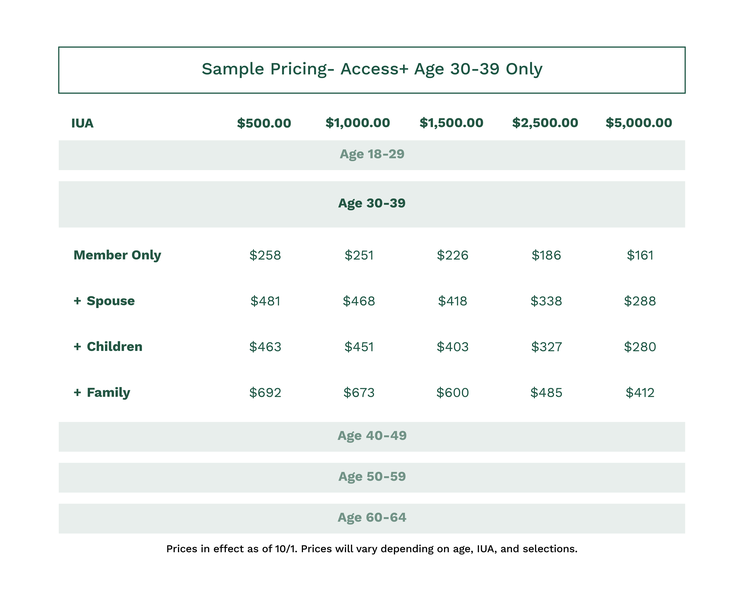 Access+ Pricing Chart Example